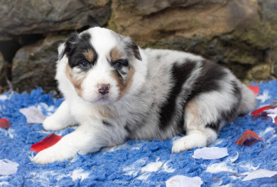 ZigZag Atlantic Ocean Road