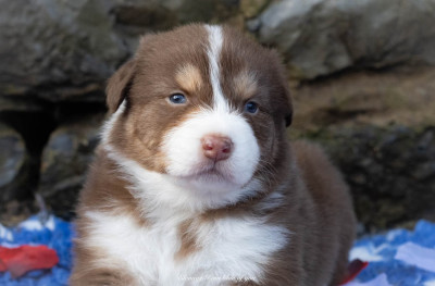 ZigZag Red River Trails