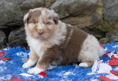 ZigZag King's Highway